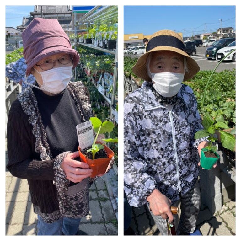 Read more about the article 野菜の苗植えました(^^♪