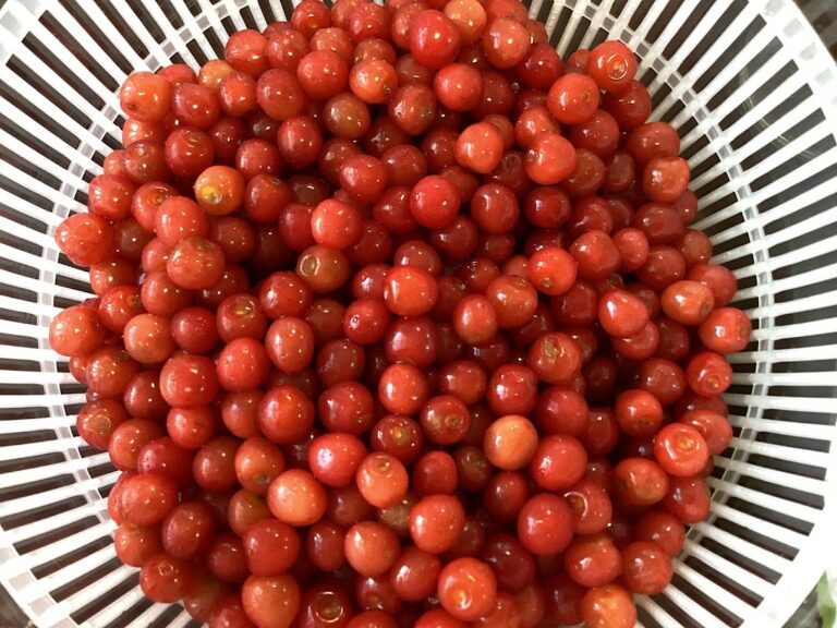 Read more about the article 🍒さくさんぼのジャム(^^♪