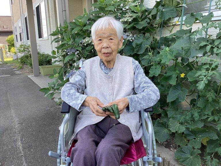 Read more about the article 野菜の成長🥒🍅🍉