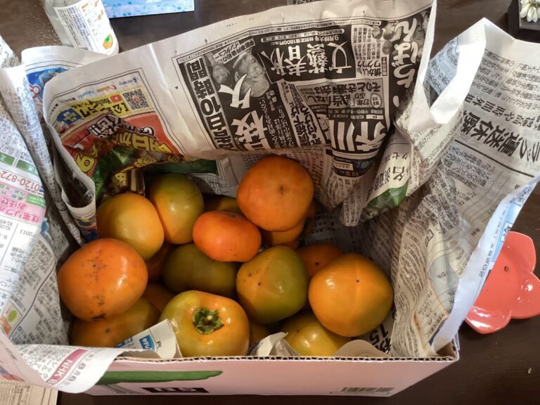 Read more about the article 柿のしぶぬきしました～(*^-^*)