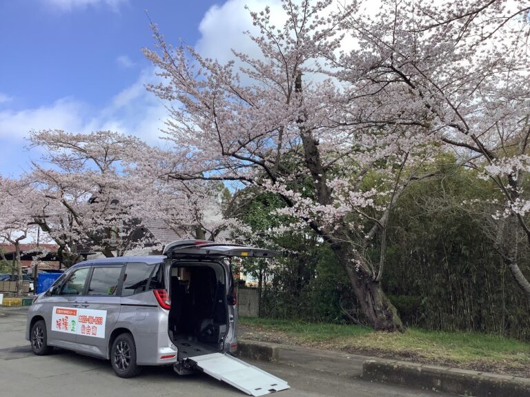 Read more about the article 🌸お花見レク🌸